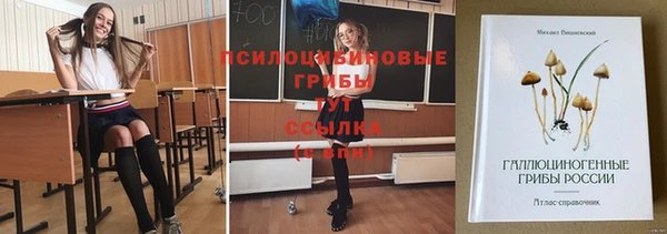 таблы Алзамай
