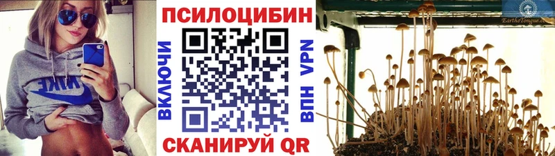 Галлюциногенные грибы прущие грибы  OMG   Александровск-Сахалинский 